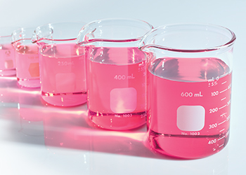 A row of beakers filled with pink liquid